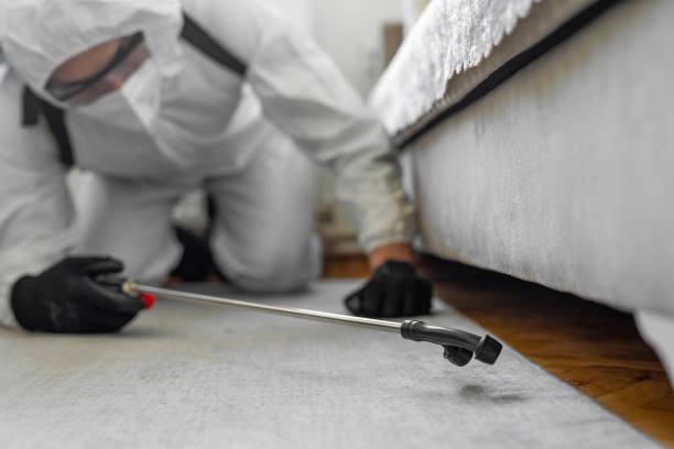 Professional Bed Bug Control technician working in Highland-on-the-Lake, NY