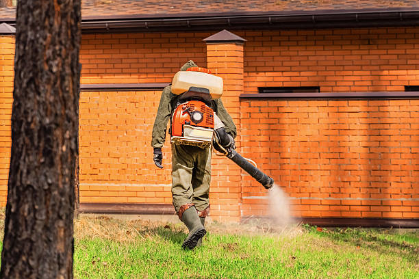 Trusted Cockroach Control service in Highland-on-the-Lake, NY - Nex Pest Control
